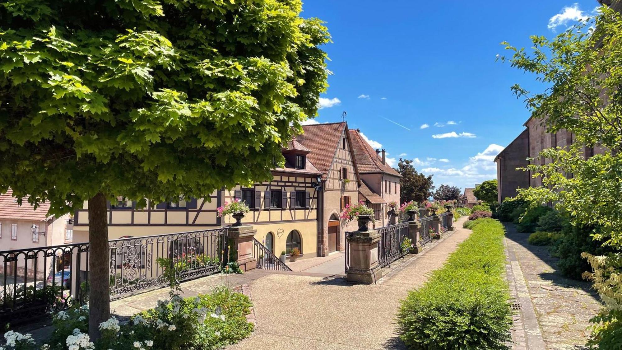 Appartements Duplex 3 Et 4 Personnes - Climatisation - Village Elu Parmi Les "Plus Beaux Villages De France" - Route Des Vins - Centre Alsace Bergheim Luaran gambar