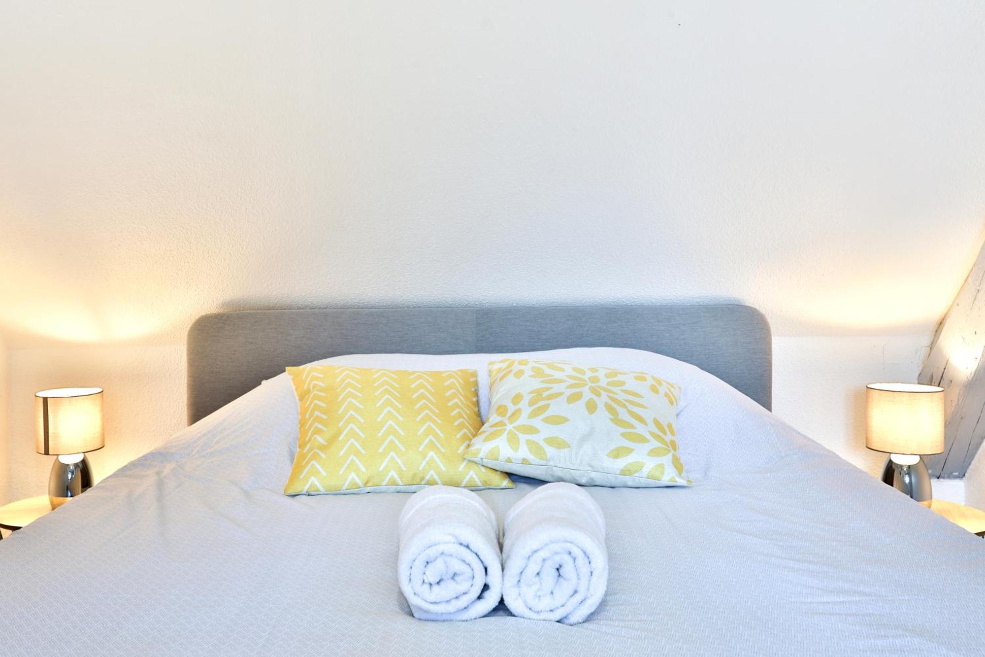 Appartements Duplex 3 Et 4 Personnes - Climatisation - Village Elu Parmi Les "Plus Beaux Villages De France" - Route Des Vins - Centre Alsace Bergheim Luaran gambar