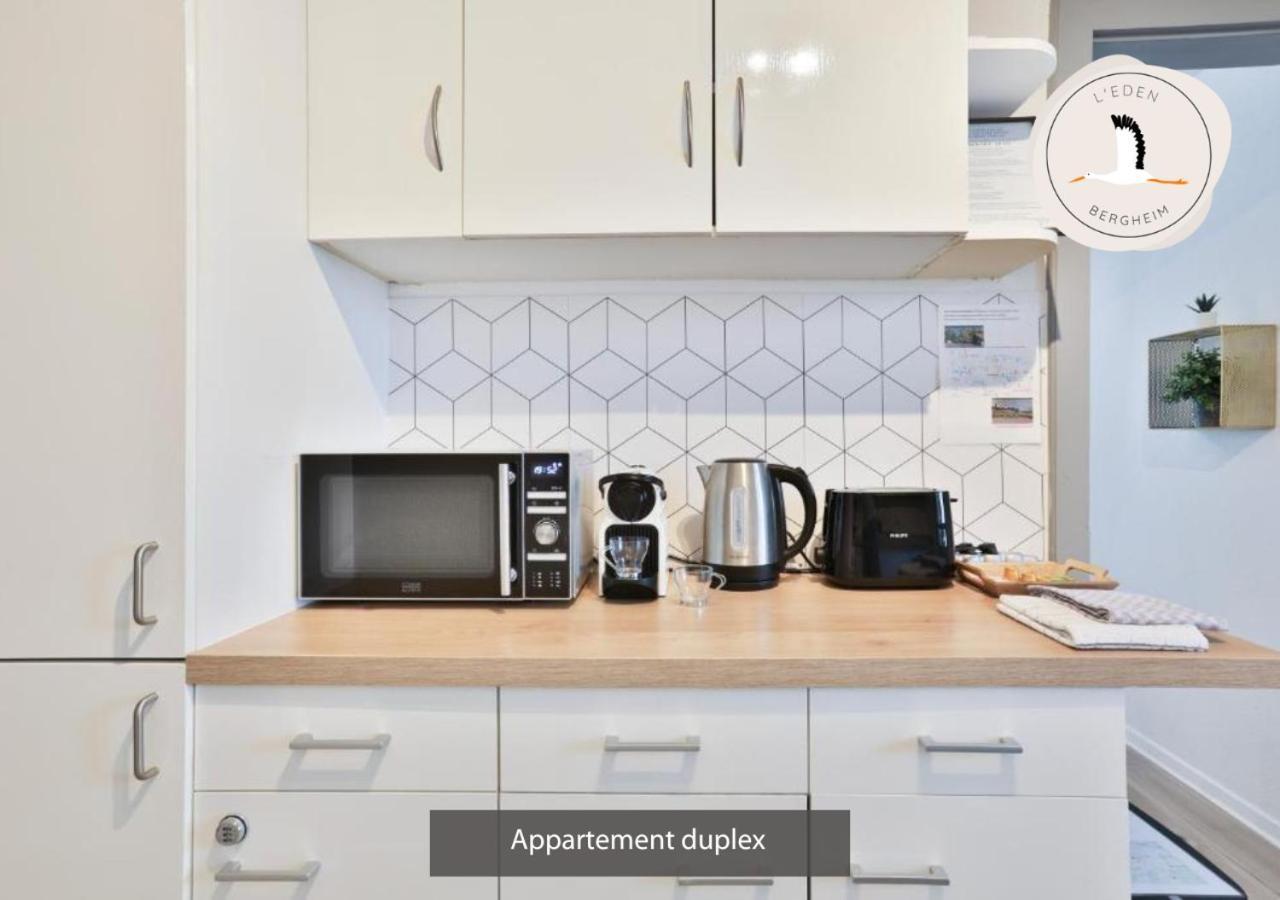 Appartements Duplex 3 Et 4 Personnes - Climatisation - Village Elu Parmi Les "Plus Beaux Villages De France" - Route Des Vins - Centre Alsace Bergheim Luaran gambar