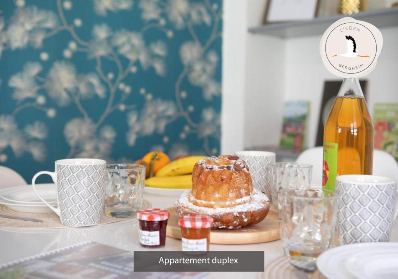 Appartements Duplex 3 Et 4 Personnes - Climatisation - Village Elu Parmi Les "Plus Beaux Villages De France" - Route Des Vins - Centre Alsace Bergheim Luaran gambar