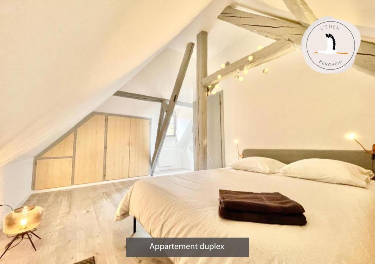 Appartements Duplex 3 Et 4 Personnes - Climatisation - Village Elu Parmi Les "Plus Beaux Villages De France" - Route Des Vins - Centre Alsace Bergheim Luaran gambar