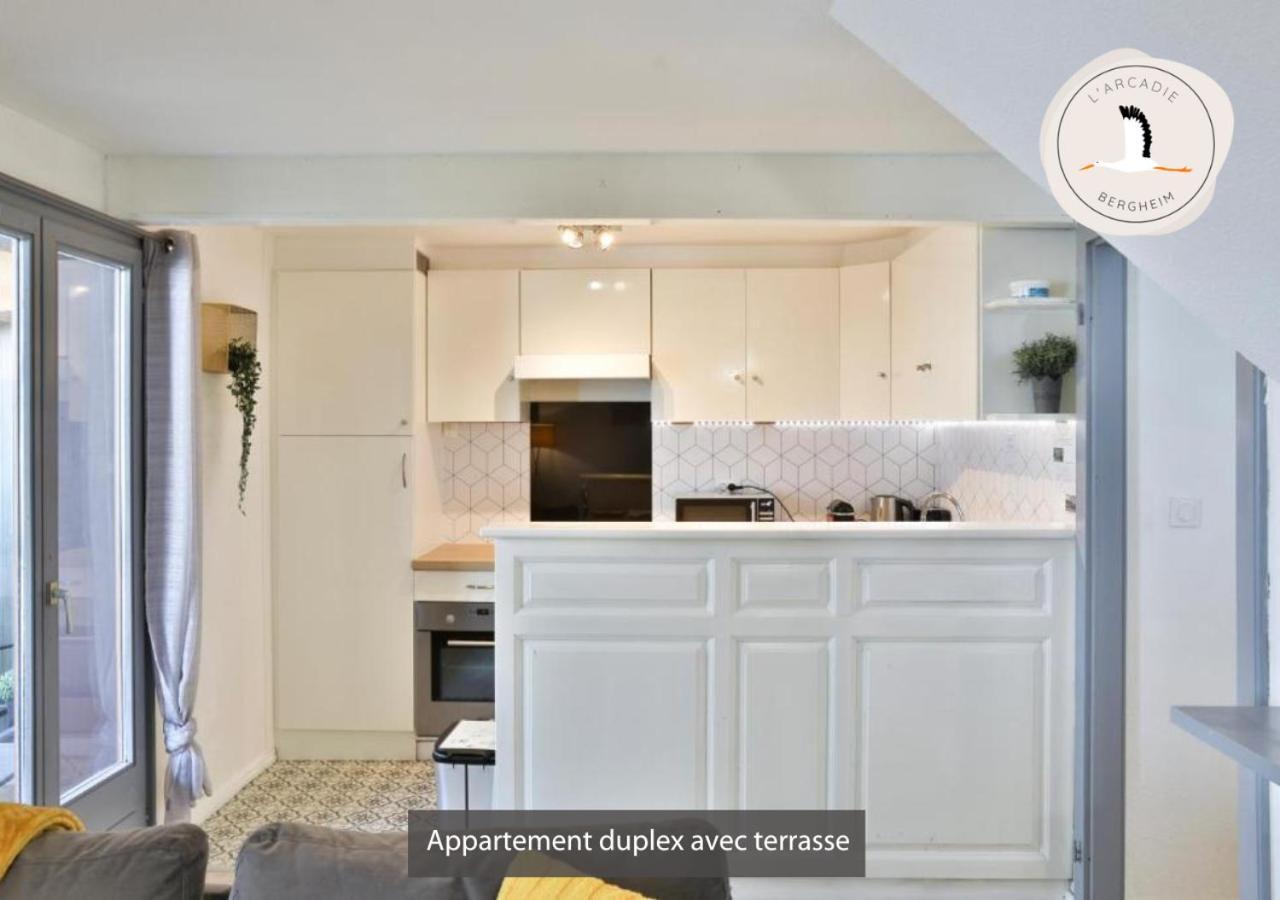 Appartements Duplex 3 Et 4 Personnes - Climatisation - Village Elu Parmi Les "Plus Beaux Villages De France" - Route Des Vins - Centre Alsace Bergheim Luaran gambar