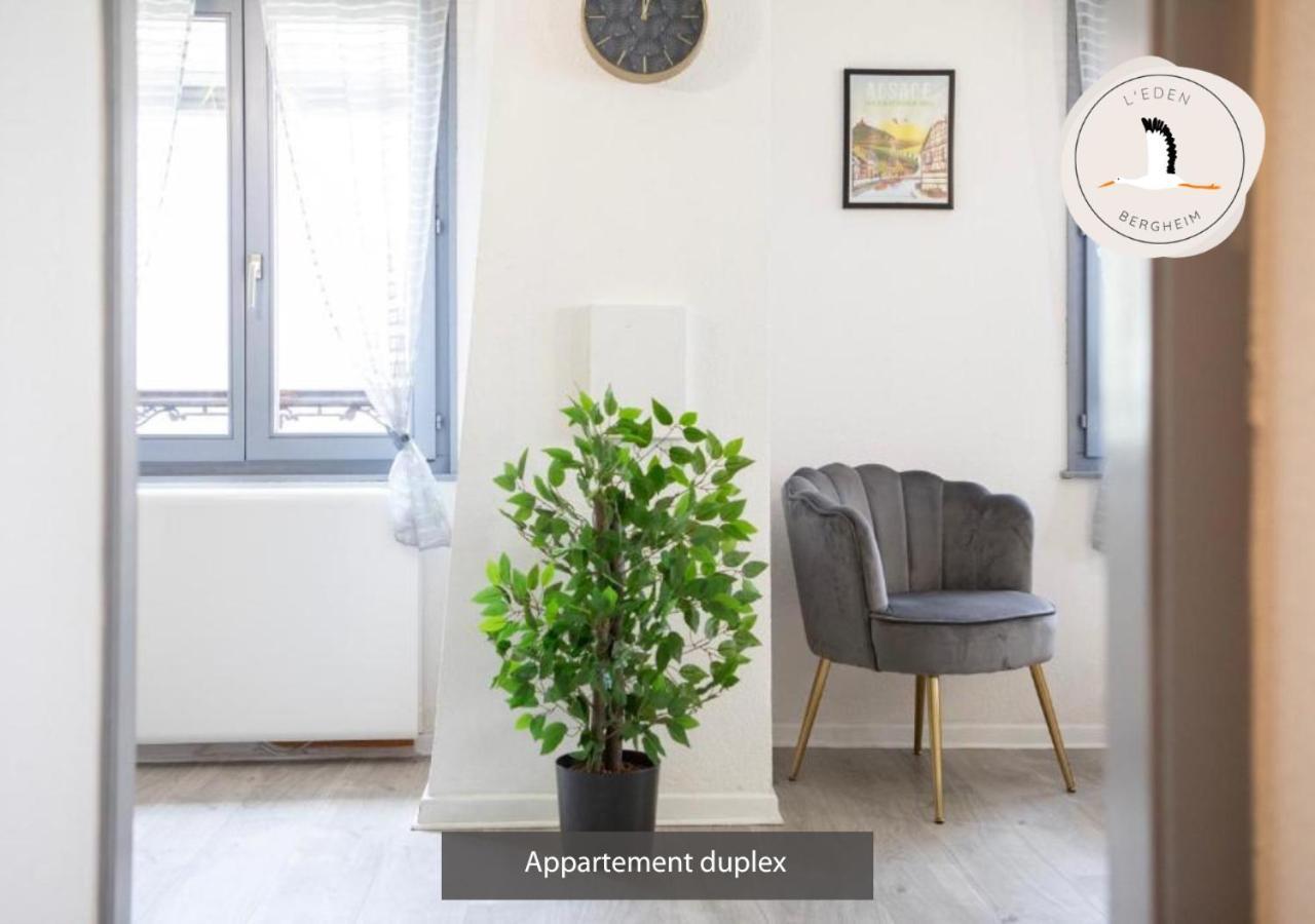 Appartements Duplex 3 Et 4 Personnes - Climatisation - Village Elu Parmi Les "Plus Beaux Villages De France" - Route Des Vins - Centre Alsace Bergheim Luaran gambar