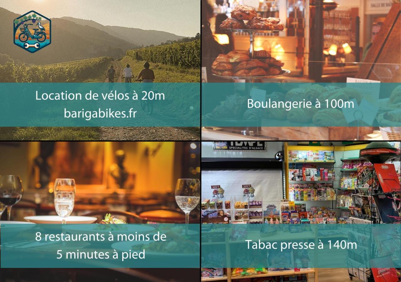 Appartements Duplex 3 Et 4 Personnes - Climatisation - Village Elu Parmi Les "Plus Beaux Villages De France" - Route Des Vins - Centre Alsace Bergheim Luaran gambar