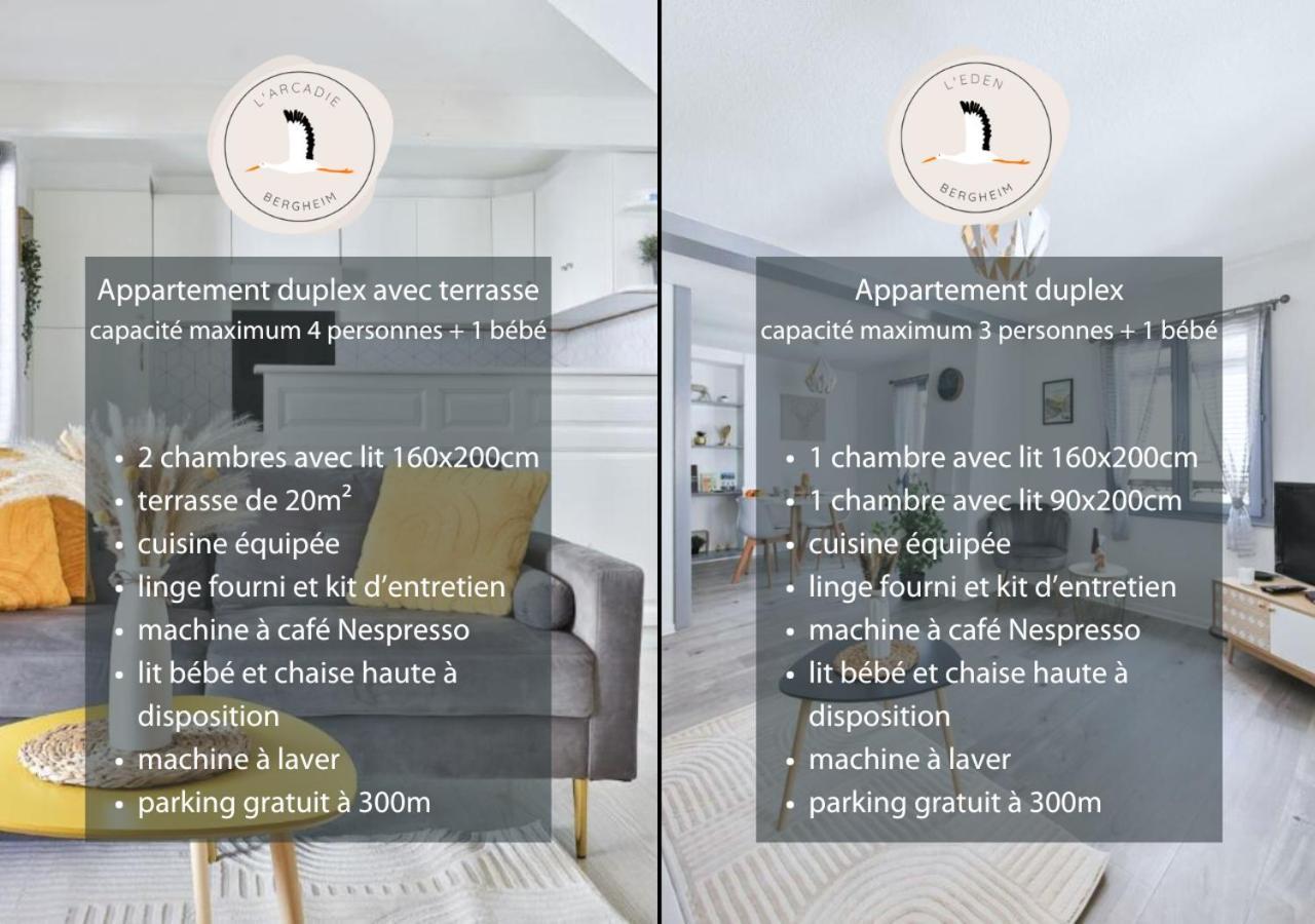 Appartements Duplex 3 Et 4 Personnes - Climatisation - Village Elu Parmi Les "Plus Beaux Villages De France" - Route Des Vins - Centre Alsace Bergheim Luaran gambar